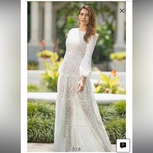 Dress the Population Lyra Semisheer Long Sleeve Gown